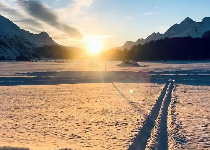 Maisonette Alpenrose By Interhome Sils Maria