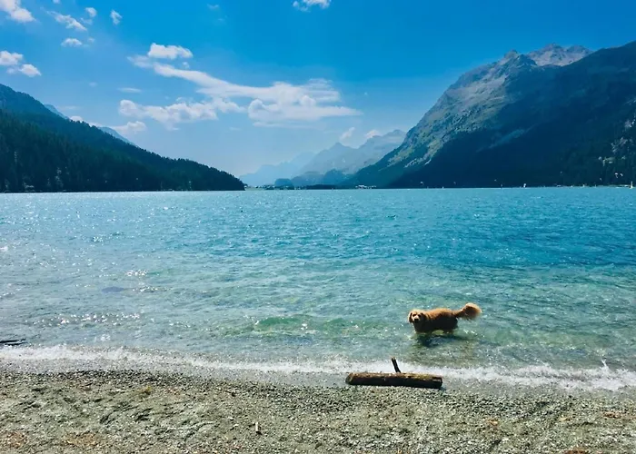 Maisonette Alpenrose By Interhome Apartment *