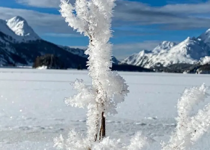 Maisonette Alpenrose By Interhome Sils-Maria
